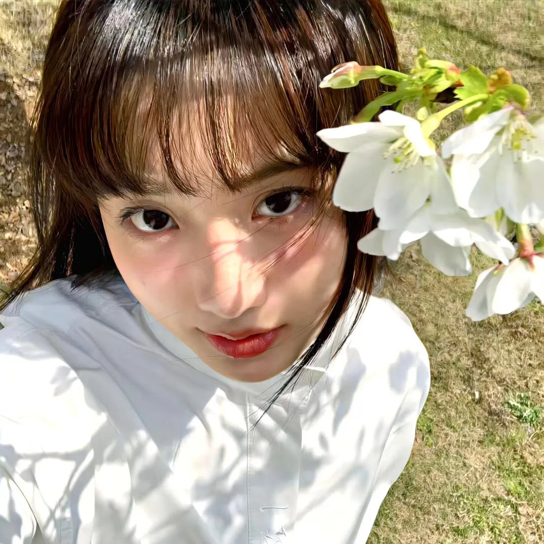 安妮·霍尔